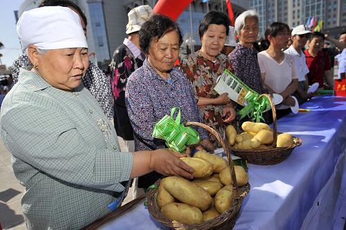 马铃薯产业成为西吉县主导产业 助推农民增收致富